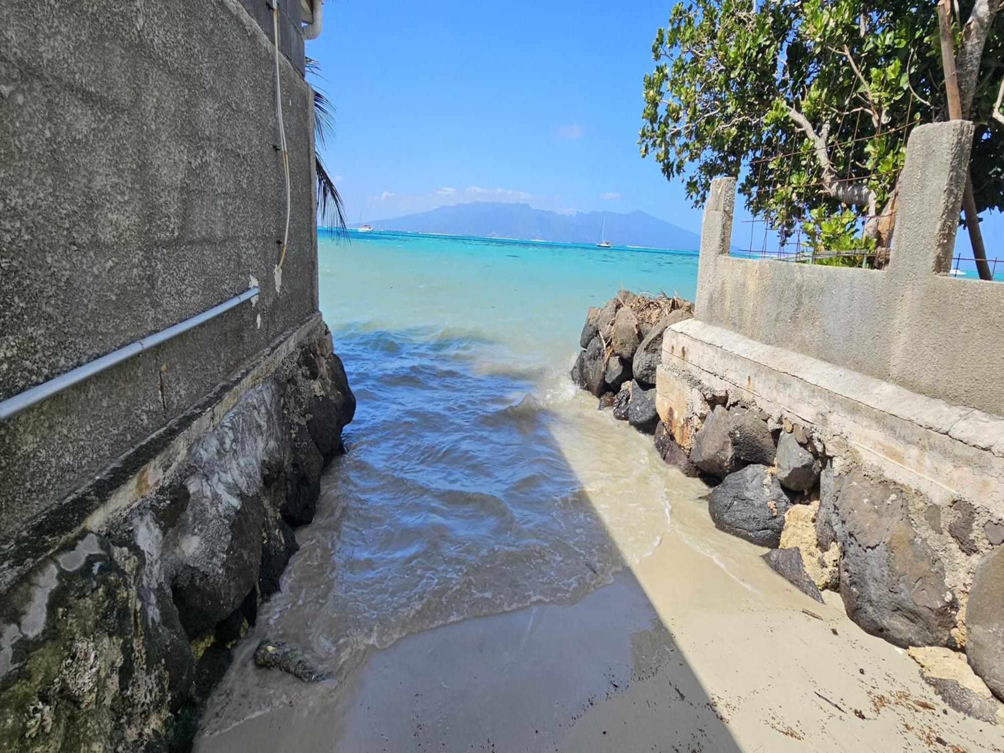 Fare Le Flamboyant Villa Moorea Eksteriør bilde